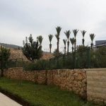 iSTERN מבית וקסמן גוברין - מכללת ארז-שלומי