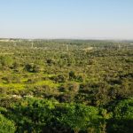 פרוייקט פארק היין iSTERN מבית וקסמן גוברין - פארק היין