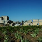 iSTERN מבית וקסמן גוברין - פרוייקט שכונה דתית-עכו רחוב